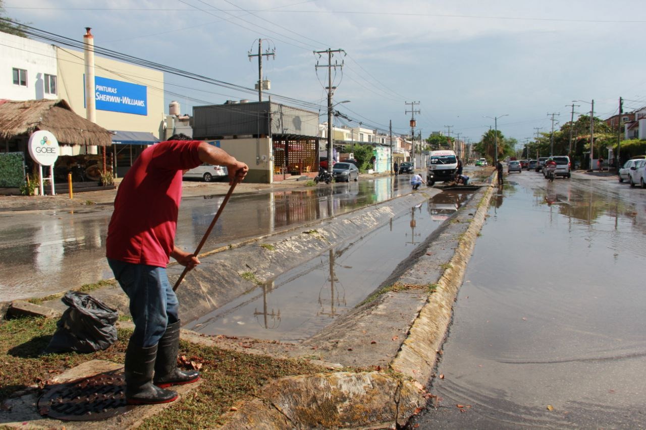 uploads/6/32/01 (35).Jpeg